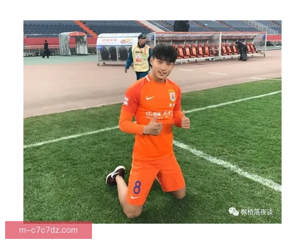 哈格赞卡里克无可挑剔球迷解脱